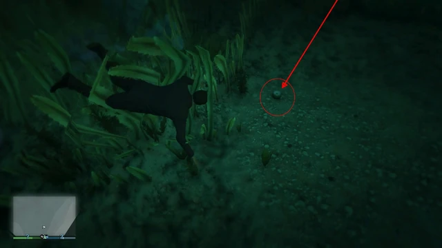 Peyote Plant #27