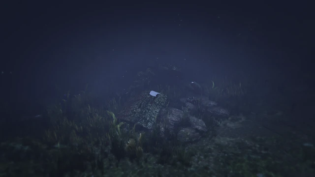 Submarine Piece #10