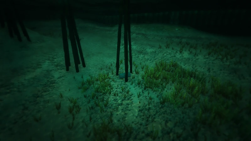 Submarine Piece #21