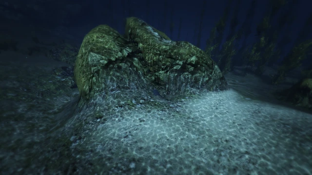 Submarine Piece #30