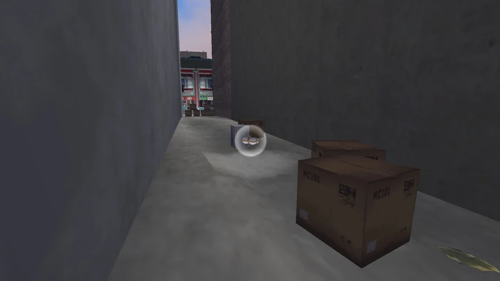 Hidden Package #22
