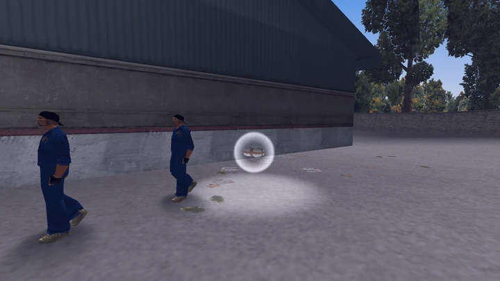 Hidden Package #31