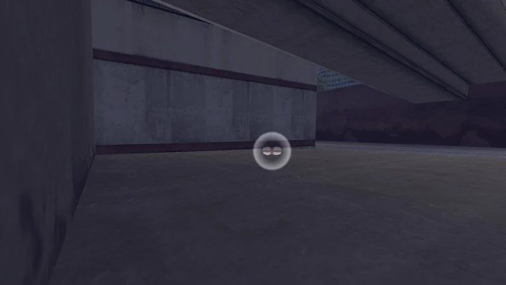 Hidden Package #35