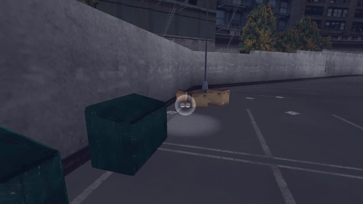 Hidden Package #45