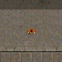 Bongo