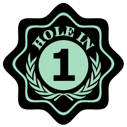 Hole in One