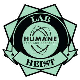 Lab Report