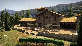 Vineyard