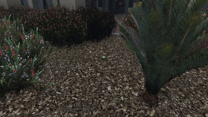 Peyote Plant #15