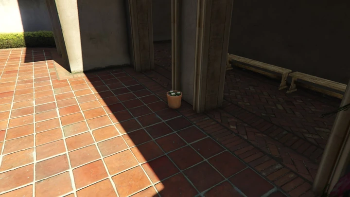 Peyote Plant #20