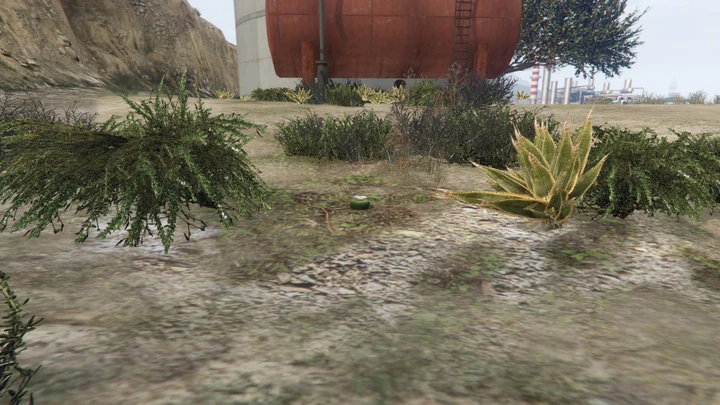 Peyote Plant #32