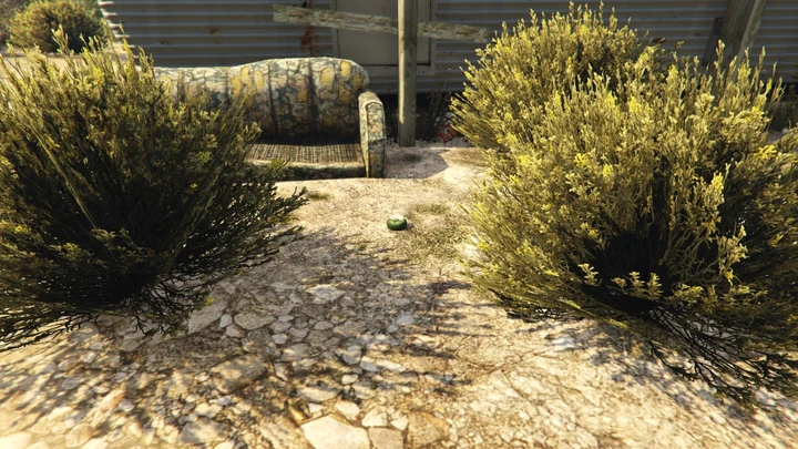 Peyote Plant #53