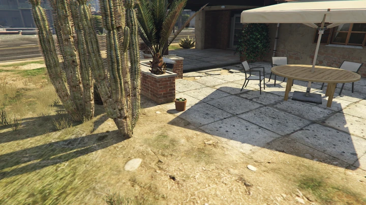 Peyote Plant #67