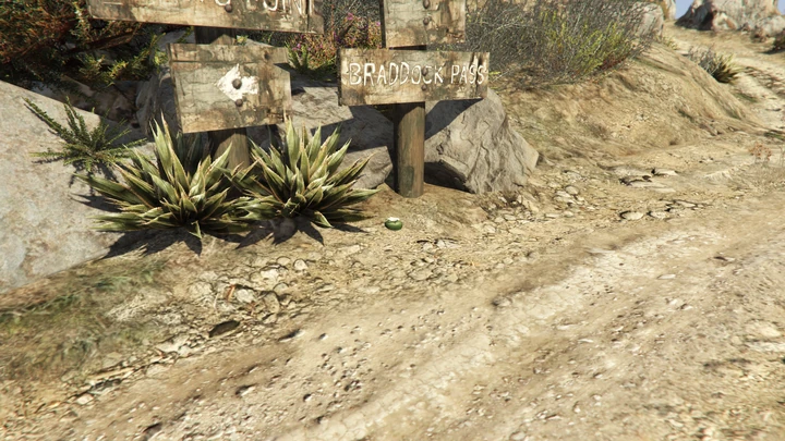 Peyote Plant #75