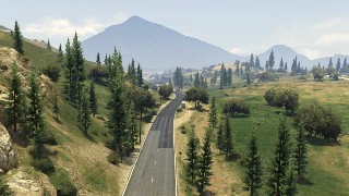Grass Route