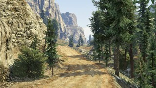 On the Trail
