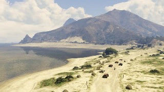 Raton Race