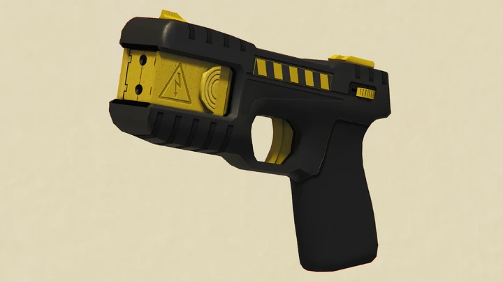 Stun Gun