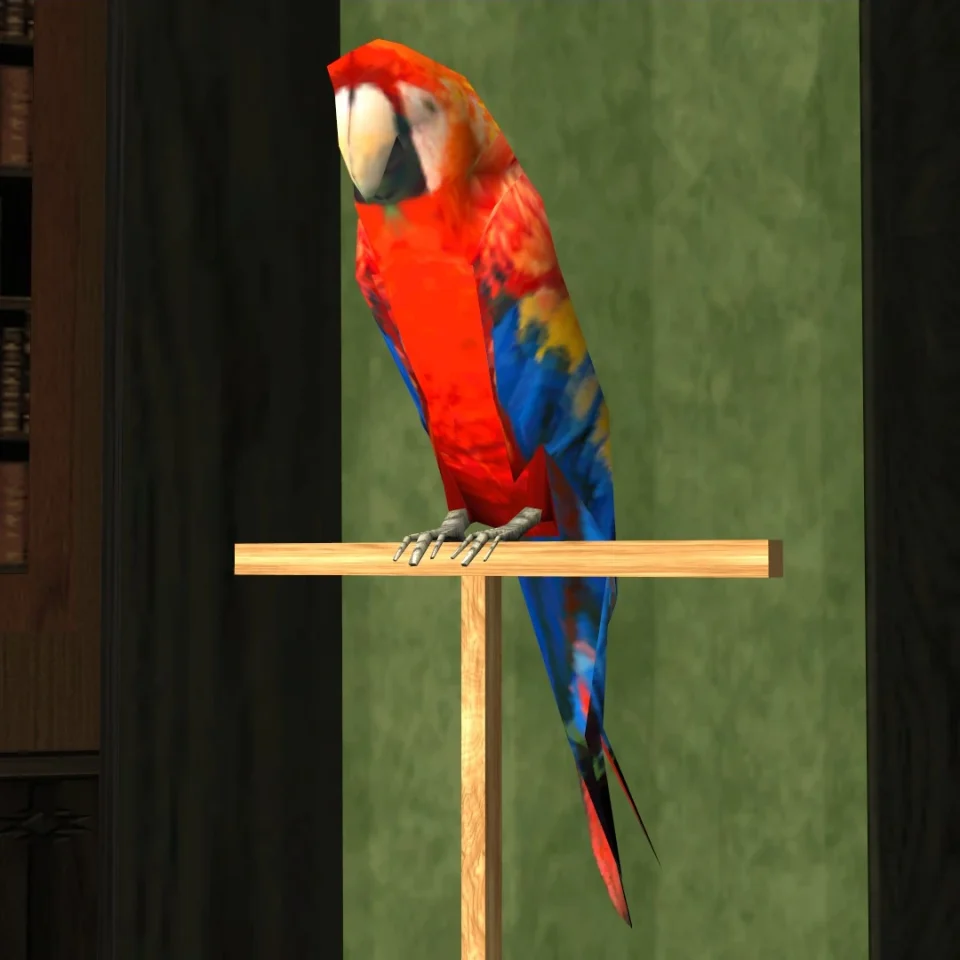 Tony (Parrot)
