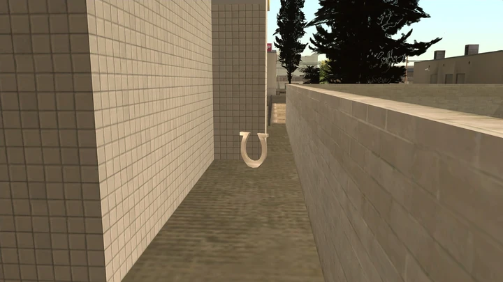 Horseshoe #8