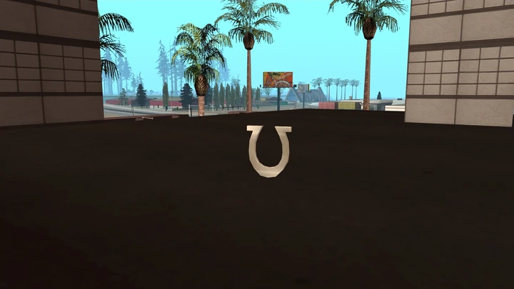 Horseshoe #17