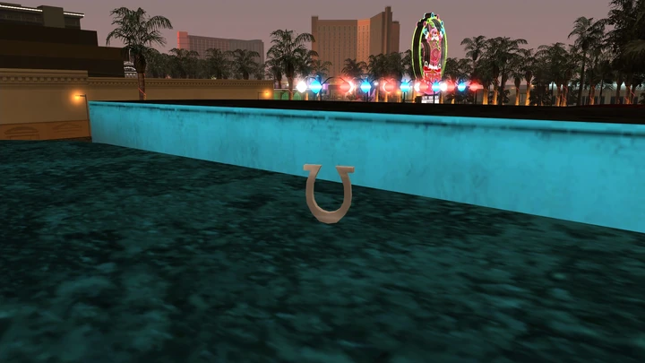 Horseshoe #24
