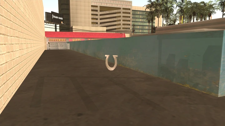 Horseshoe #35