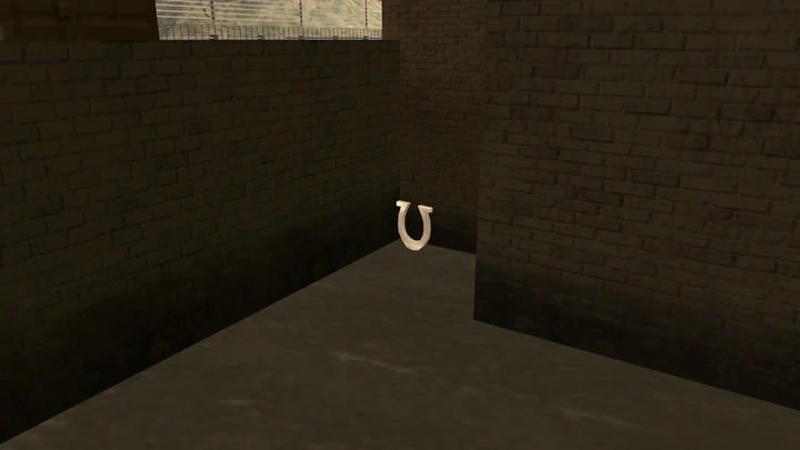 Horseshoe #46