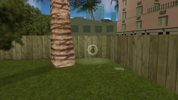 Hidden Package #31