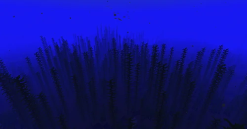 Deep Ocean