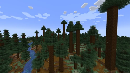 Old Growth Pine Taiga