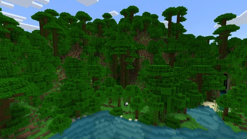Jungle