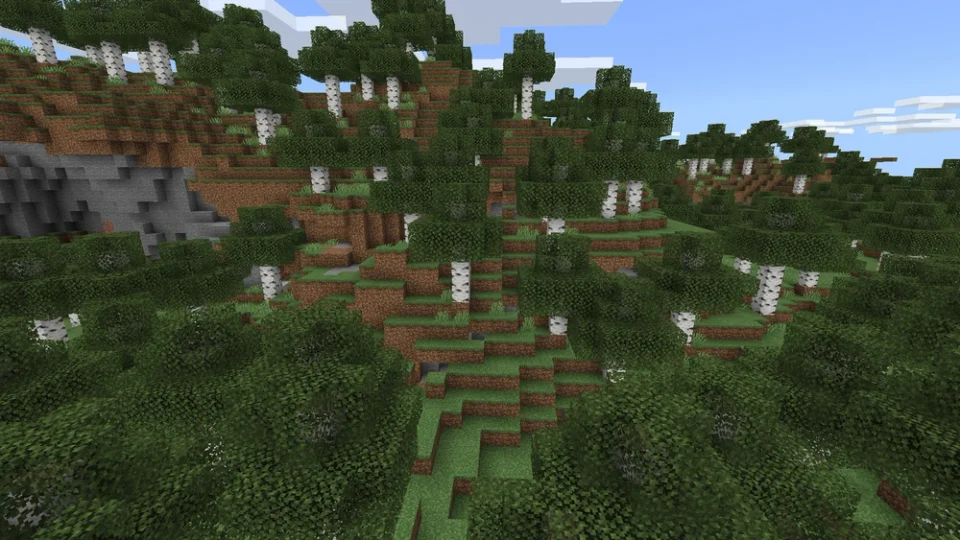 Birch Forest Hills