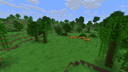 Sparse Jungle