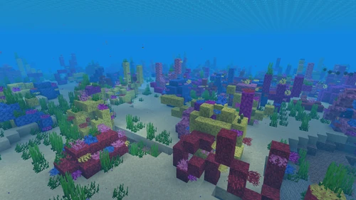 Warm Ocean