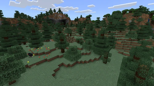 Windswept Forest