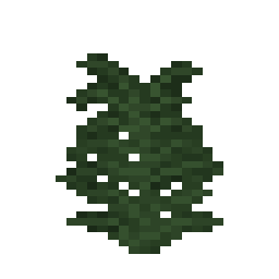 Large Fern