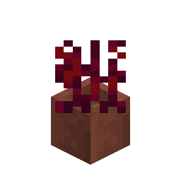 Potted Crimson Roots