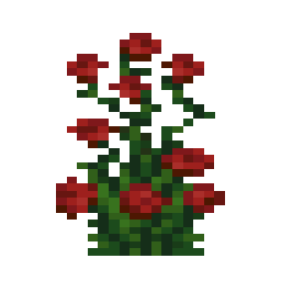 Rose Bush
