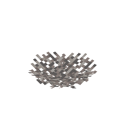Dead Fire Coral Fan