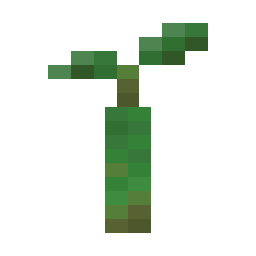 Mangrove Propagule