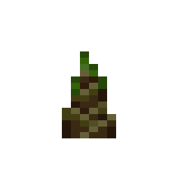 Bamboo Shoot