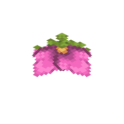 Spore Blossom