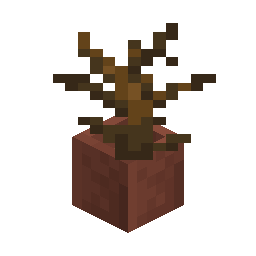 Potted Dead Bush