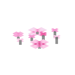 Pink Petals