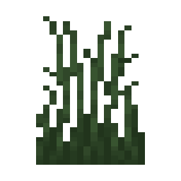 Tall Grass