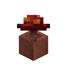 Potted Crimson Fungus