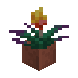 Potted Torchflower