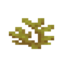 Horn Coral
