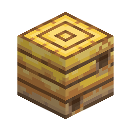 Bee Nest
